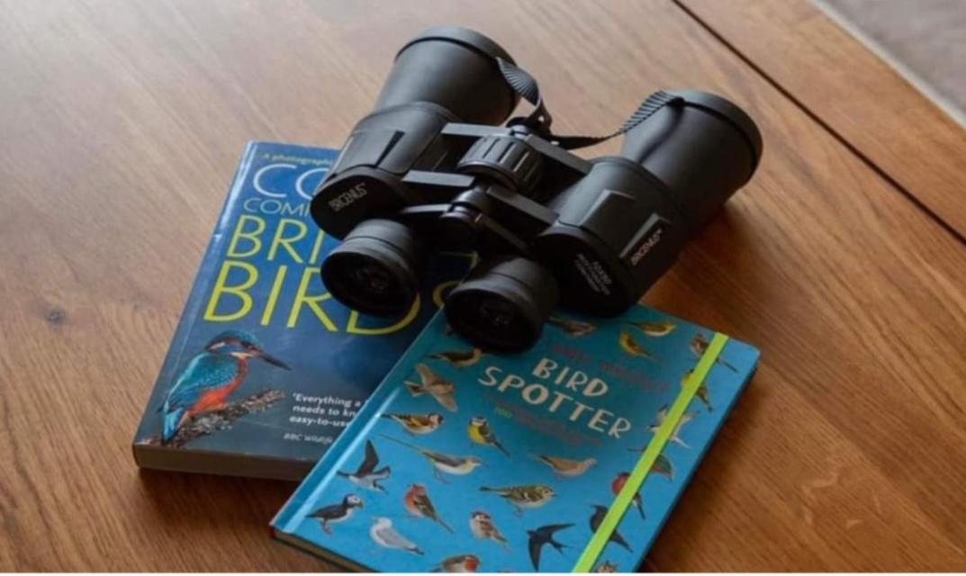 Vila The Gull & Puffin Cresswell Cresswell  Exteriér fotografie